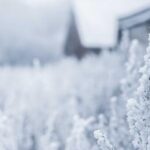 건설 하자 소송의 모든 것: 절차와 판례