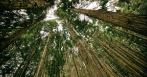 임대차 계약 갱신 거절 사유와 대처법