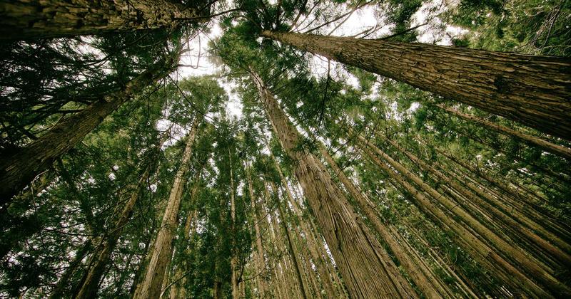 임대차 계약 갱신 거절 사유와 대처법