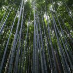 공사대금 미지급 분쟁 해결 가이드