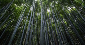 공사대금 미지급 분쟁 해결 가이드