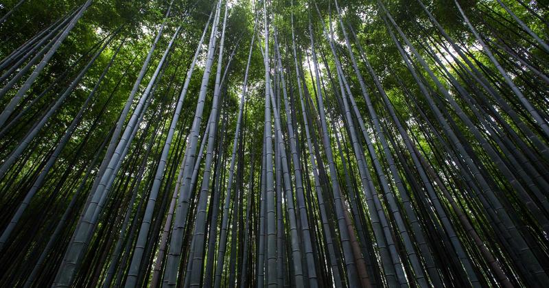 공사대금 미지급 분쟁 해결 가이드